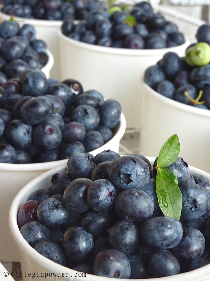 Blueberries & Blueberry Buckle White Gunpowder
